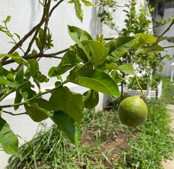 Номер Стандарт Вид на Сад, Grand Hotel Royal