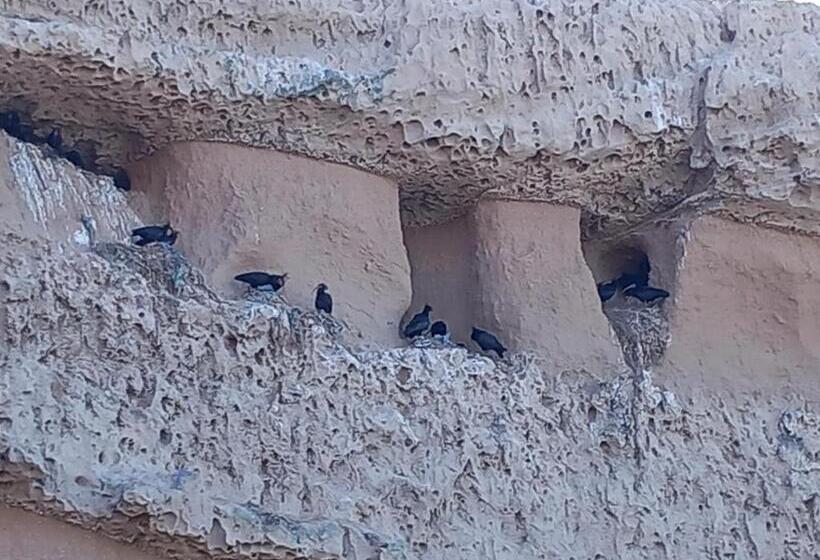 Апартаменты 1 Спальня, Résidence Fanti