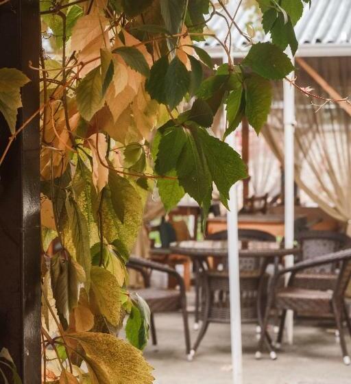 اتاق لوکس, Tes