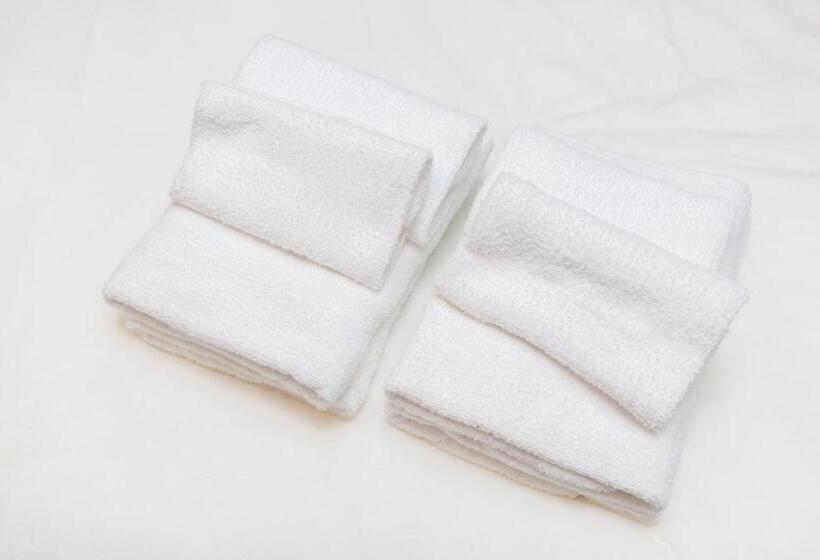 חדר בסיסי לשלושה, Minn Haneda Airport