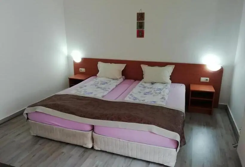 استودیو خانوادگی, Guest House Lila
