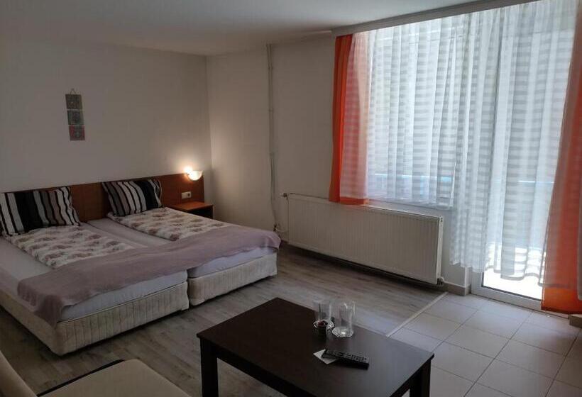 استودیو خانوادگی, Guest House Lila