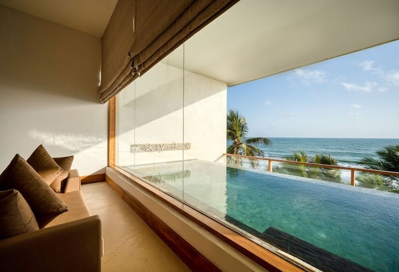 Presidentsvit, Riff Hikkaduwa