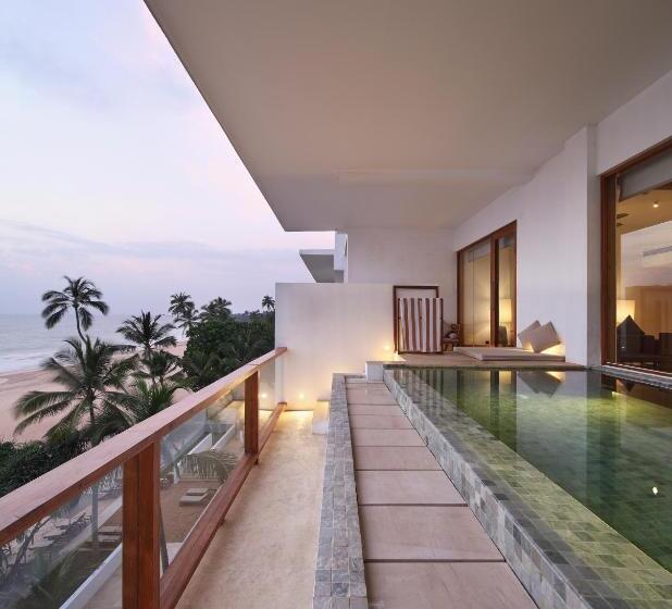 Presidentsvit, Riff Hikkaduwa