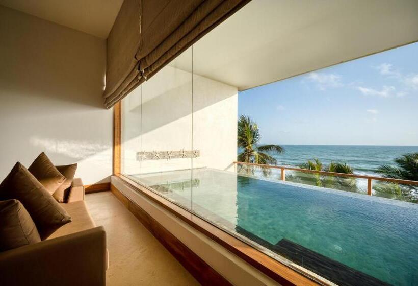 Presidentsvit, Riff Hikkaduwa