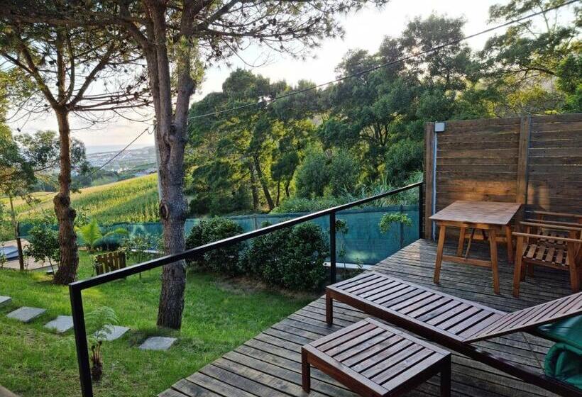 Люкс Вид на Море, Place Of Moments Natur