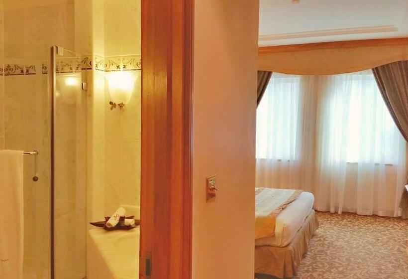 سوییت جونیور, Knight Castle Hotel   Formerly Known As Carlton Palace