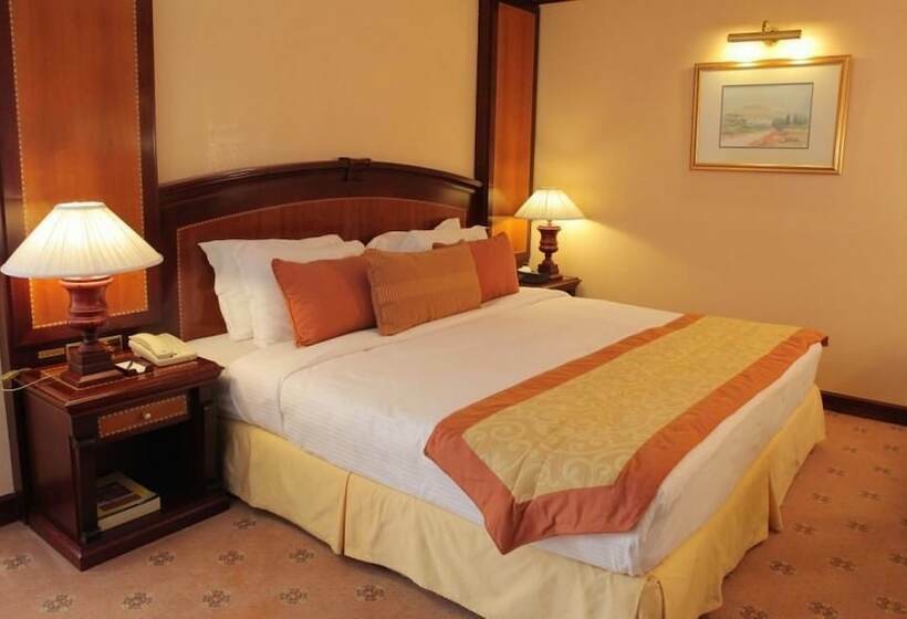 اتاق اجرایی, Knight Castle Hotel   Formerly Known As Carlton Palace