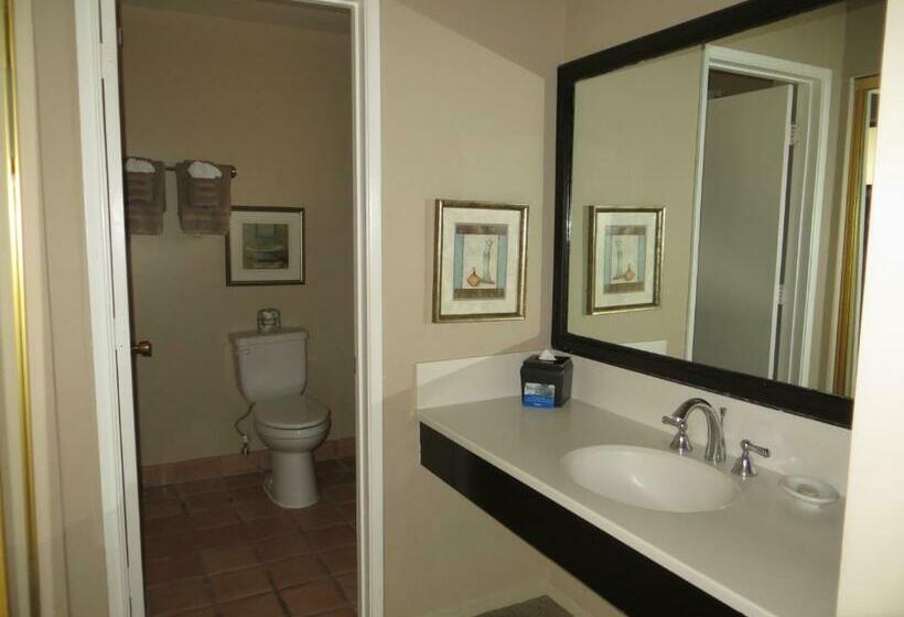 اتاق استاندارد با تخت بزرگ, Adobe Inn