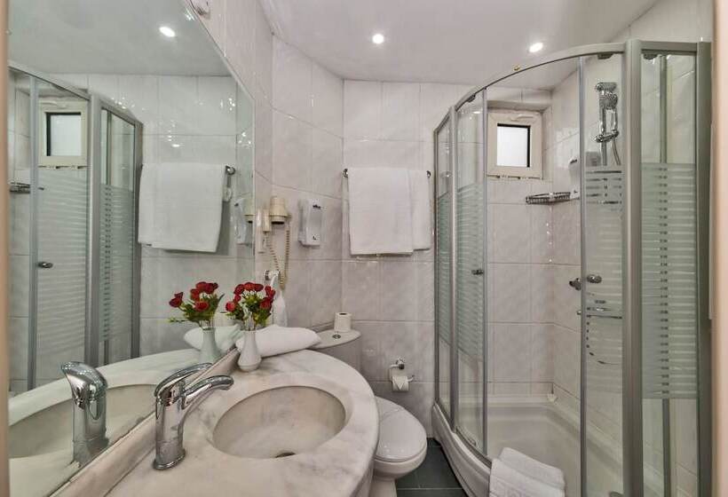 スタンダードルーム, Febor Park