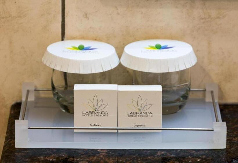 高级海景房, Labranda Alantur