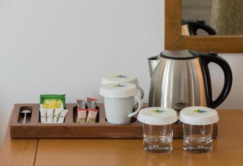 高级海景房, Labranda Alantur