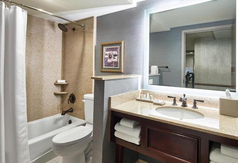 适合残疾人士使用的带超级大床的标准间, Renaissance Mobile Riverview Plaza