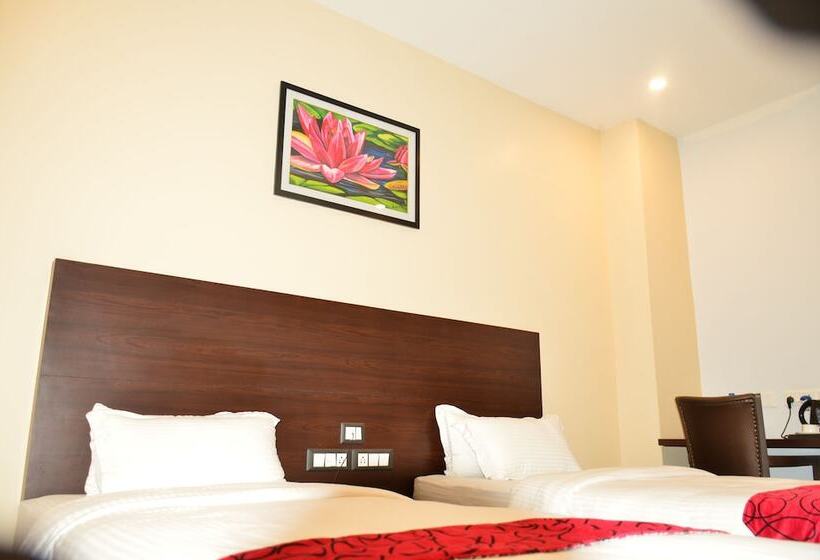 Апартаменты Deluxe 1 Спальня, Indus Regency