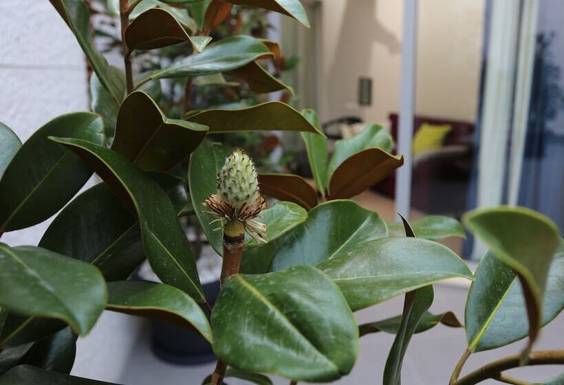 Huoneisto 1 Makuuhuone, Guesthouse Villa Scalaria