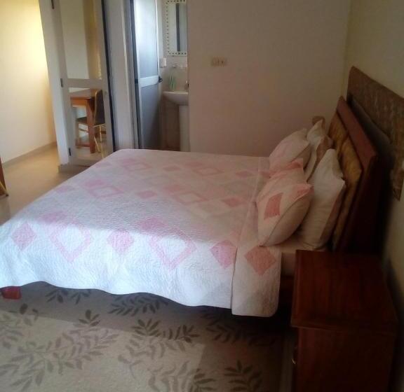 اتاق یک تخته با چشم‌انداز باغ, Paradialaw