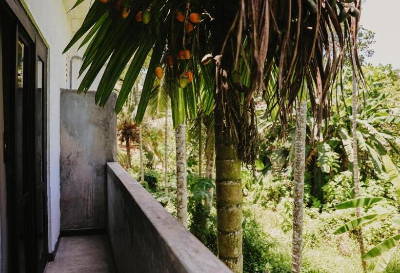 سوئیت با بالکن, Jungle Soul
