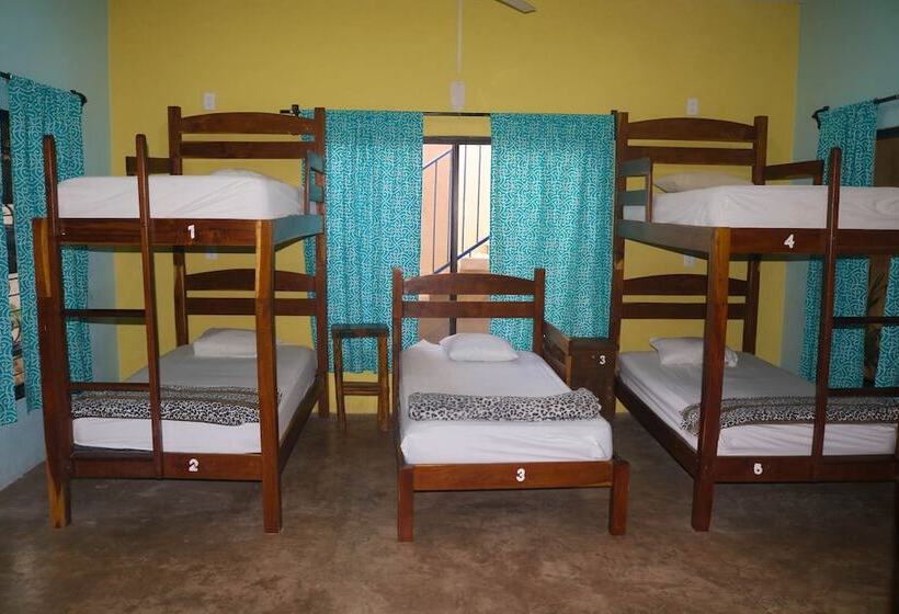 Кровать в Общей Комнате, Hostal Tunich Naj &