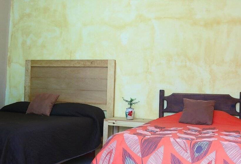 اتاق استاندارد, Casa Porfirio