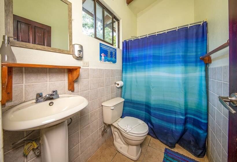 디럭스 스위트, Diversion Tropical