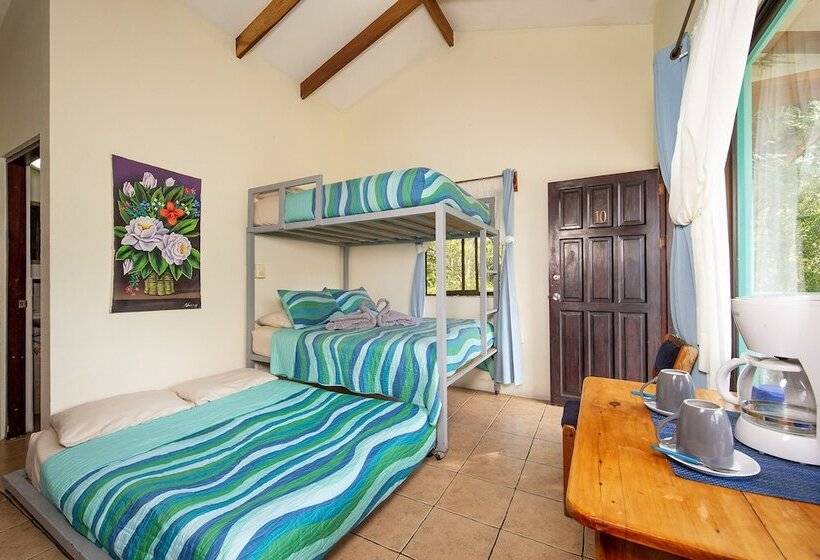 디럭스 스위트, Diversion Tropical