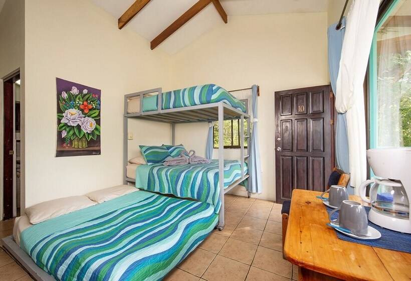 디럭스 스위트, Diversion Tropical