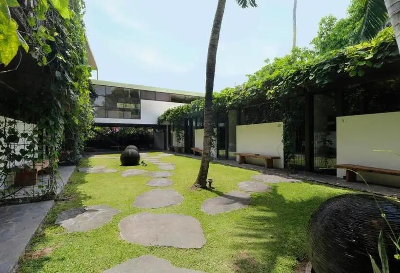 استودیوی استاندارد, Clio Apartment