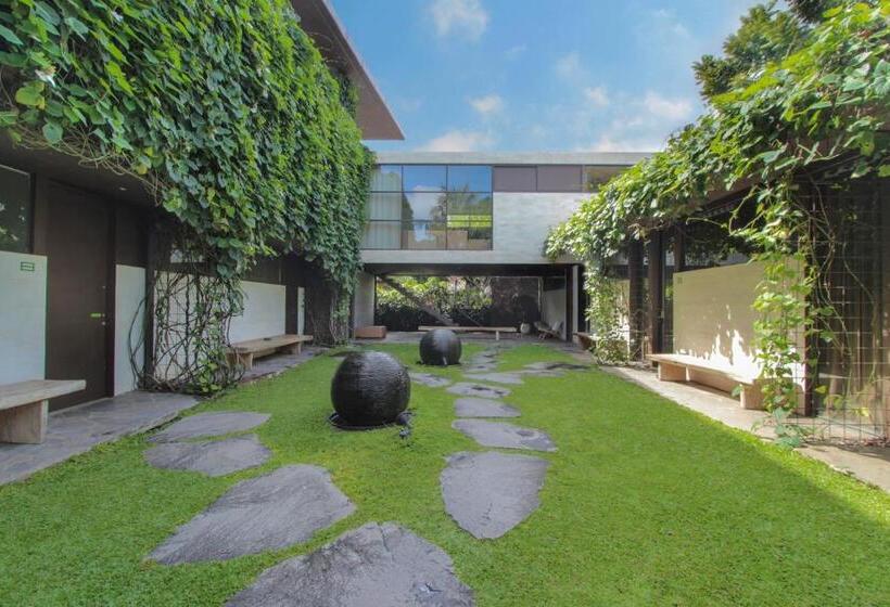 חדר סטודיו סטנדרד, Clio Apartment