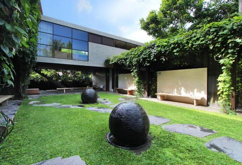 סטודיו דלוקס, Clio Apartment