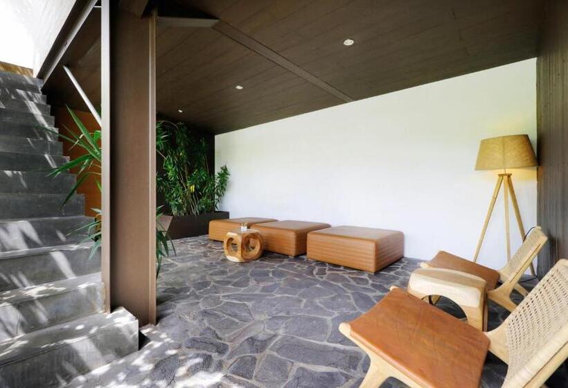 חדר סטנדרט, Clio Apartment