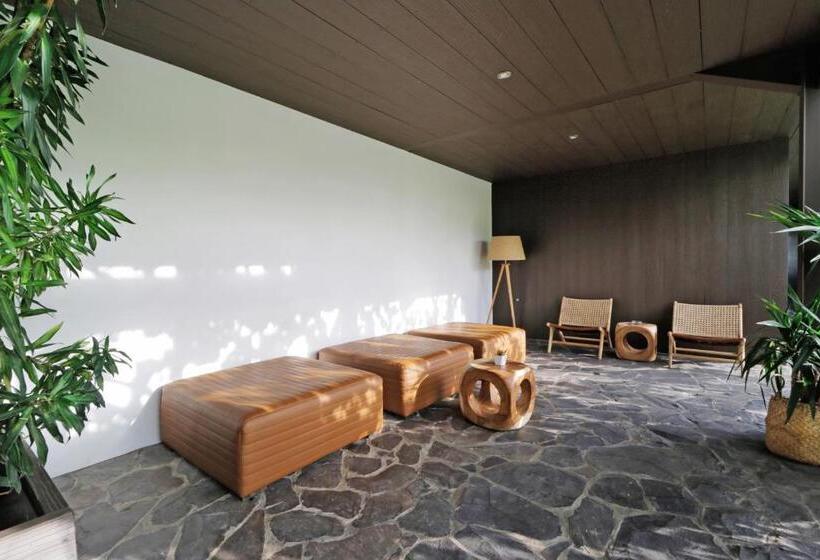 חדר סטנדרט, Clio Apartment