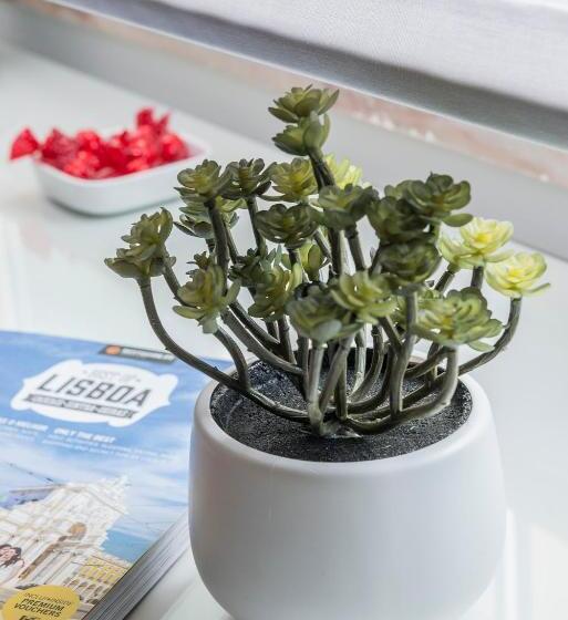 Camera Quadrupla Standard Bagno Condiviso, Republica Bed & Breakfast