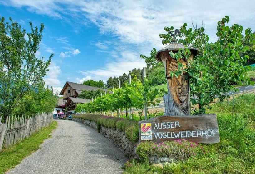 带1个卧室带观景的公寓, Ausservogelweiderhof
