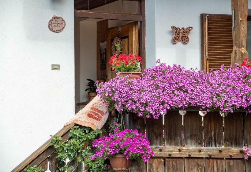 דירה בת חדר שינה 1 עם נוף, Ausservogelweiderhof