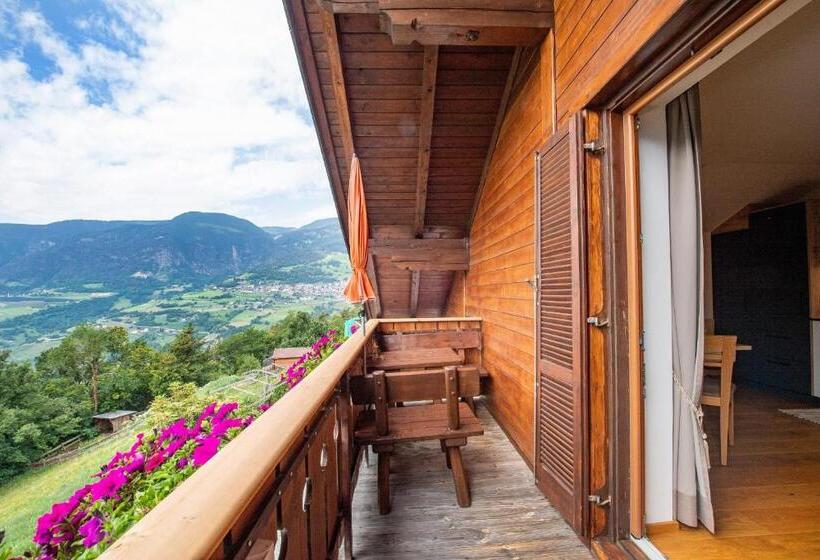 דירת חדר, Ausservogelweiderhof