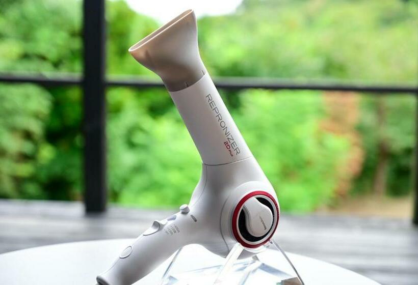 חדר דלוקס, Ito Yukitei Kawana Bettei