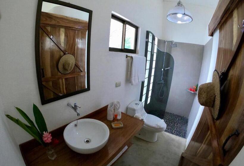 スタンダードルーム, Buddha Retreat