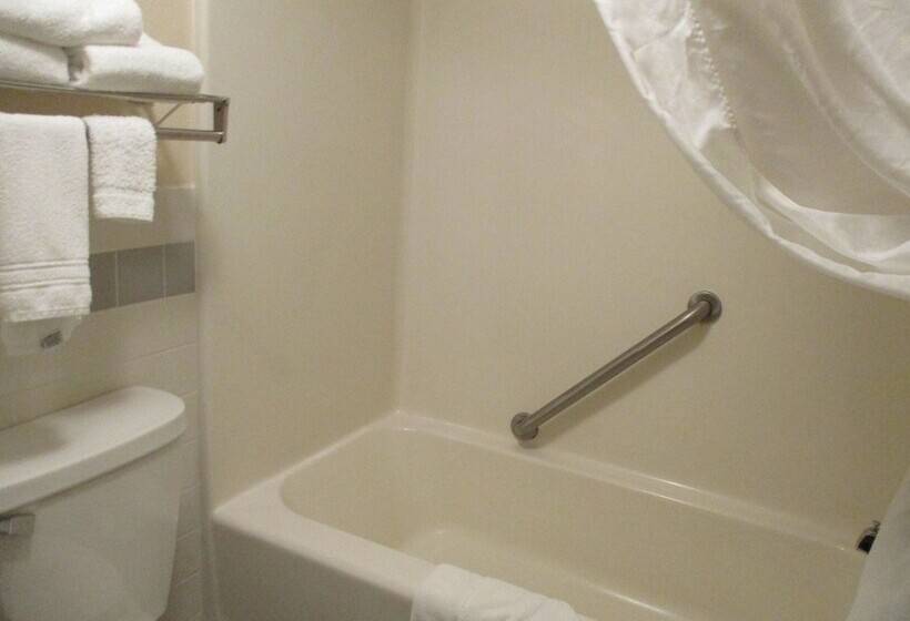 جناح ديلوكس, Americinn By Wyndham Hutchinson