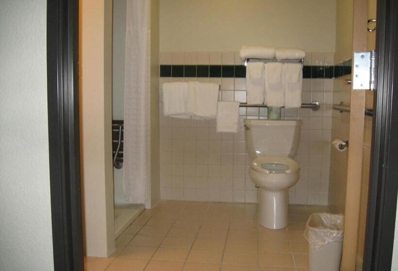 身障者適用キングサイズベッドルーム, Americinn By Wyndham Oscoda Near Ausable River