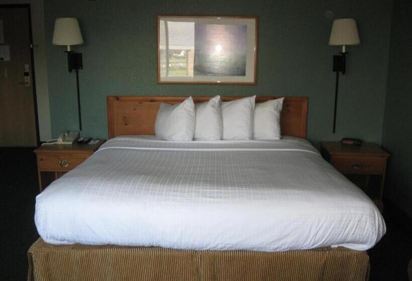 带大床的套房, Americinn By Wyndham Oscoda Near Ausable River
