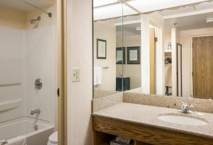 غرفة قياسية, Bavarian Inn Lodge