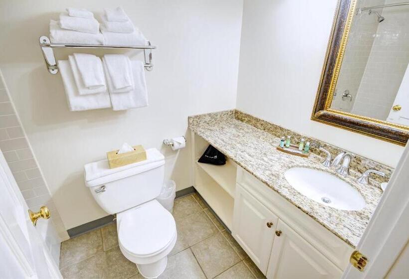 جناح ديلوكس, Club Wyndham Bay Voyage Inn