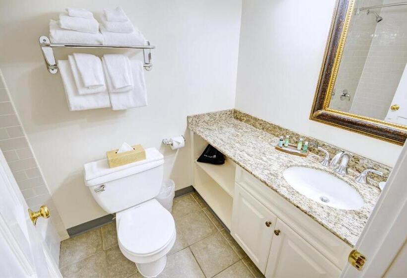 수피리어 스위트, Club Wyndham Bay Voyage Inn