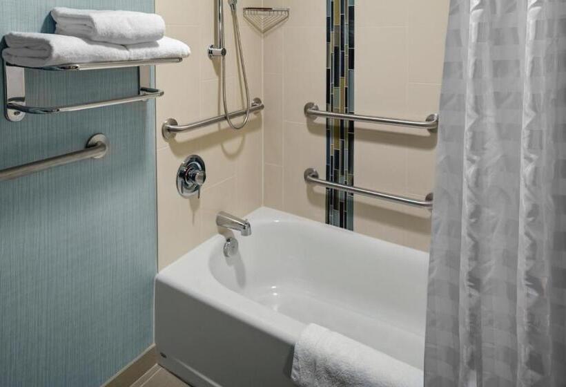 חדר סטנדרט מותאם לאדם עם מוגבלויות, Hyatt Place Chicago/itasca