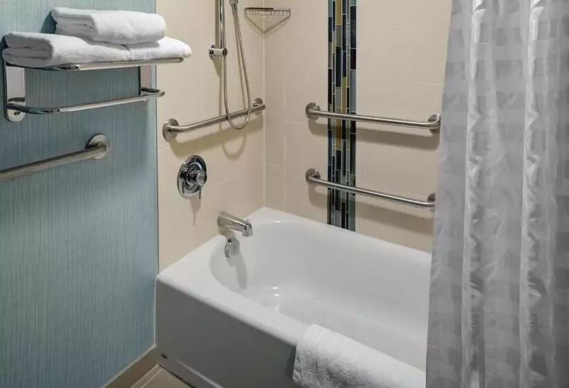 身障者適用スタンダードルーム, Hyatt Place Chicago/itasca