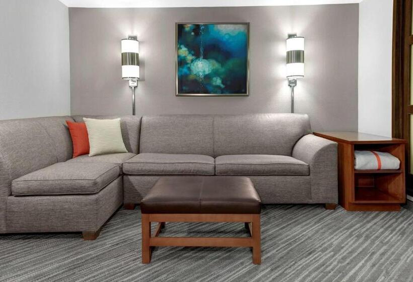 חדר סטנדרט מותאם לאדם עם מוגבלויות, Hyatt Place Chicago/itasca