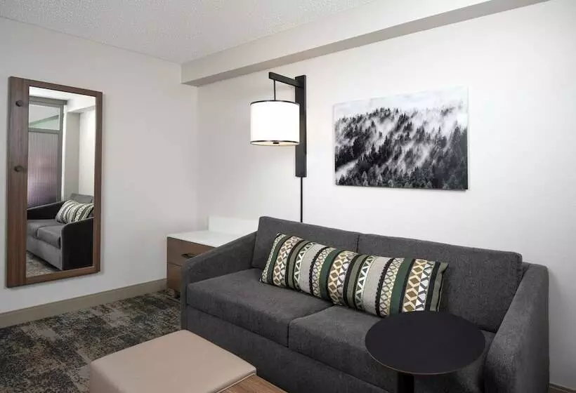 ２ダブルベッドのスタンダードルーム, Hyatt Place Denver South/park Meadows