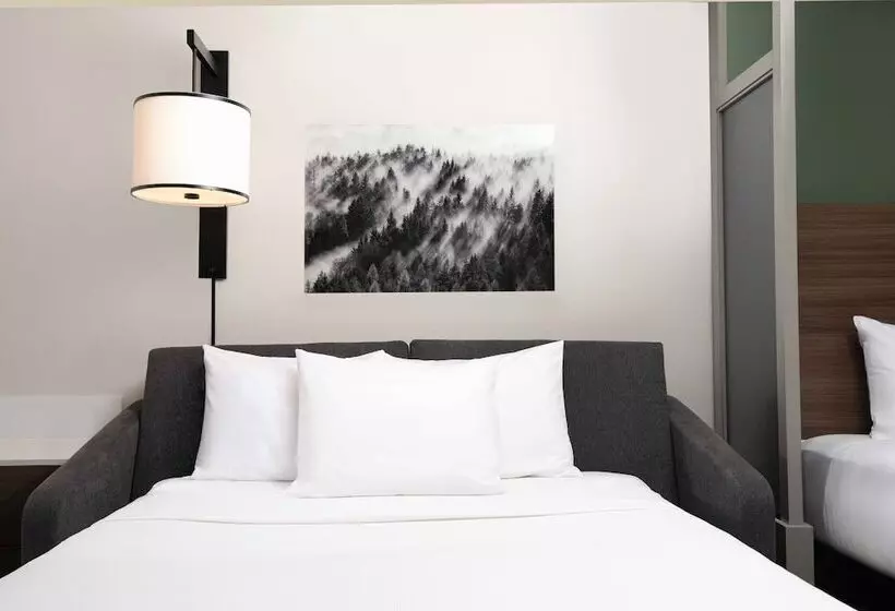 ２ダブルベッドのスタンダードルーム, Hyatt Place Denver South/park Meadows