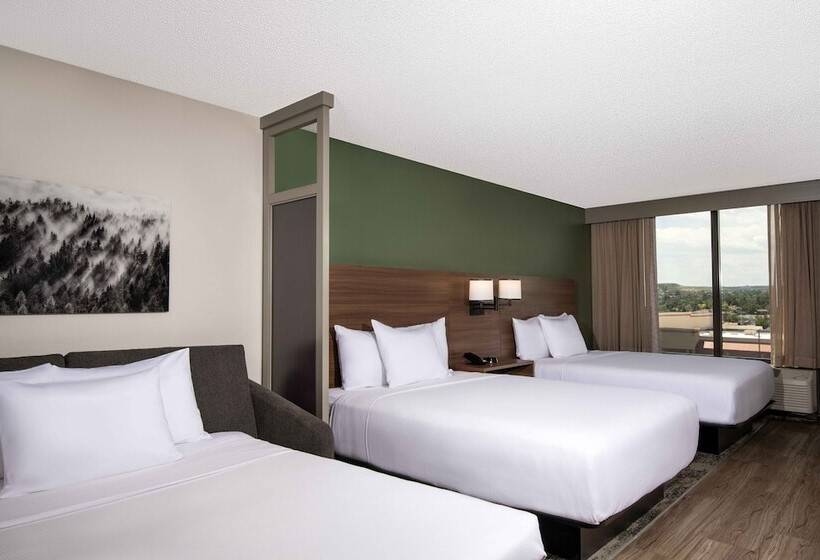 Standard Szoba 2 Franciaággyal, Hyatt Place Denver South/park Meadows