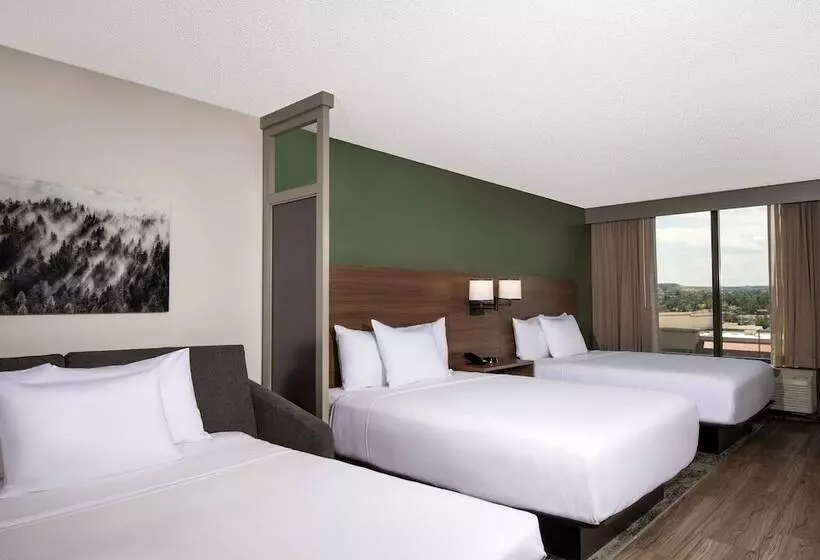 ２ダブルベッドのスタンダードルーム, Hyatt Place Denver South/park Meadows
